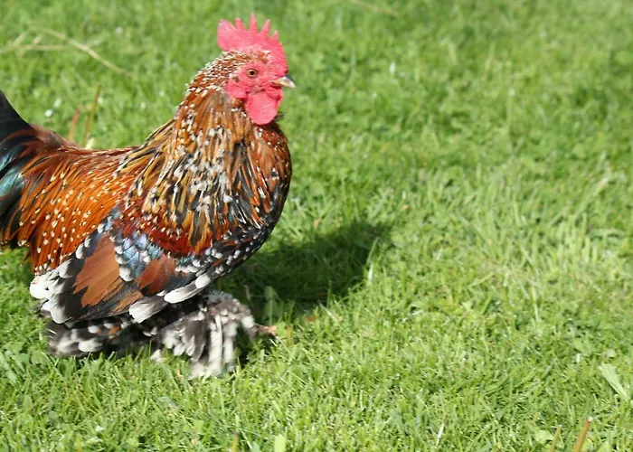 Apartmán Tuschnhof *