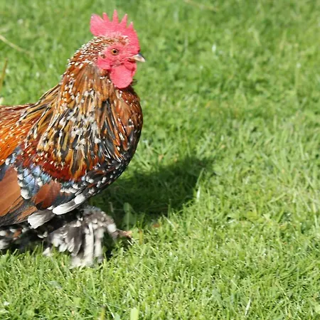 Apartament Tuschnhof *