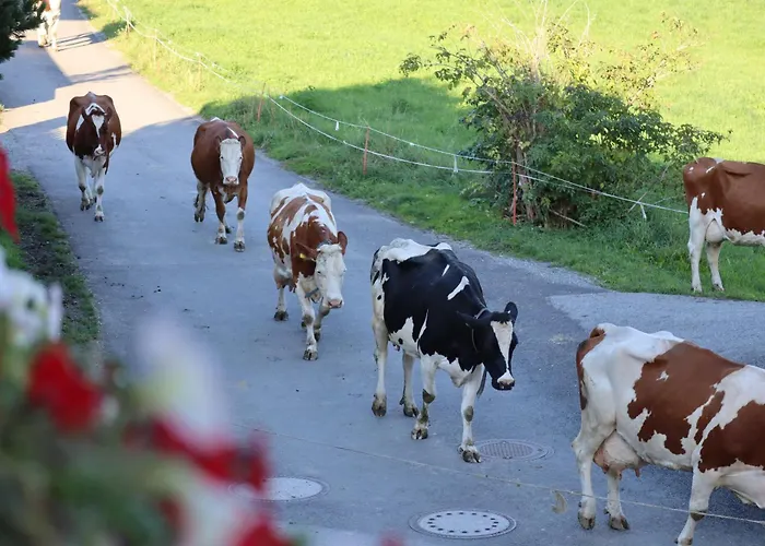 Tuschnhof Apartamento Rinn