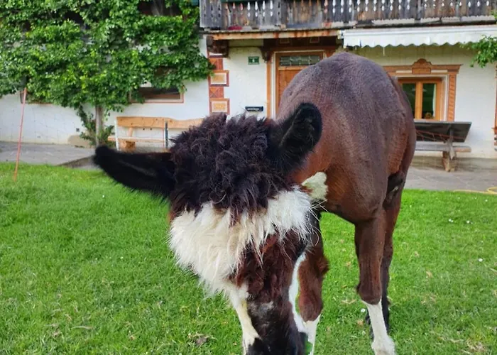 Apartamento Tuschnhof *