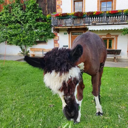 Appartement Tuschnhof *
